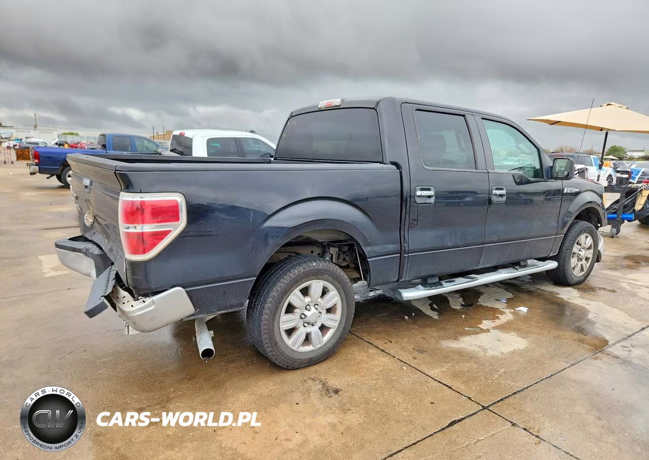 2010 Ford F150 Supercrew VIN:1FTEW1C89AFD17785 - 3