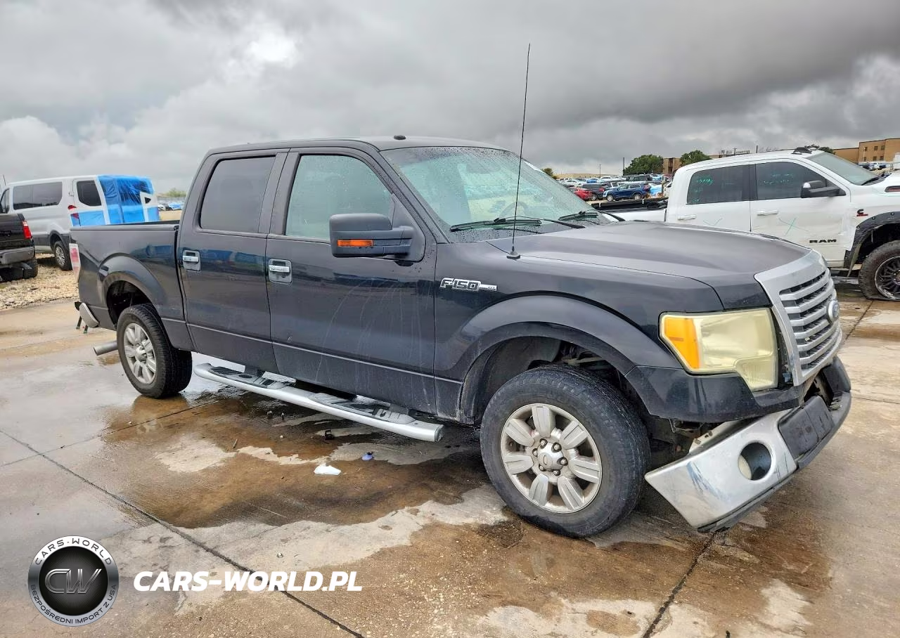 2010 Ford F150 Supercrew VIN:1FTEW1C89AFD17785 - 4