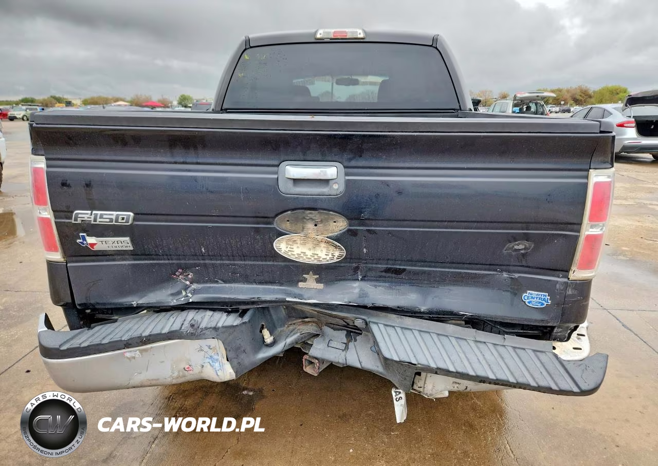 2010 Ford F150 Supercrew VIN:1FTEW1C89AFD17785 - 6