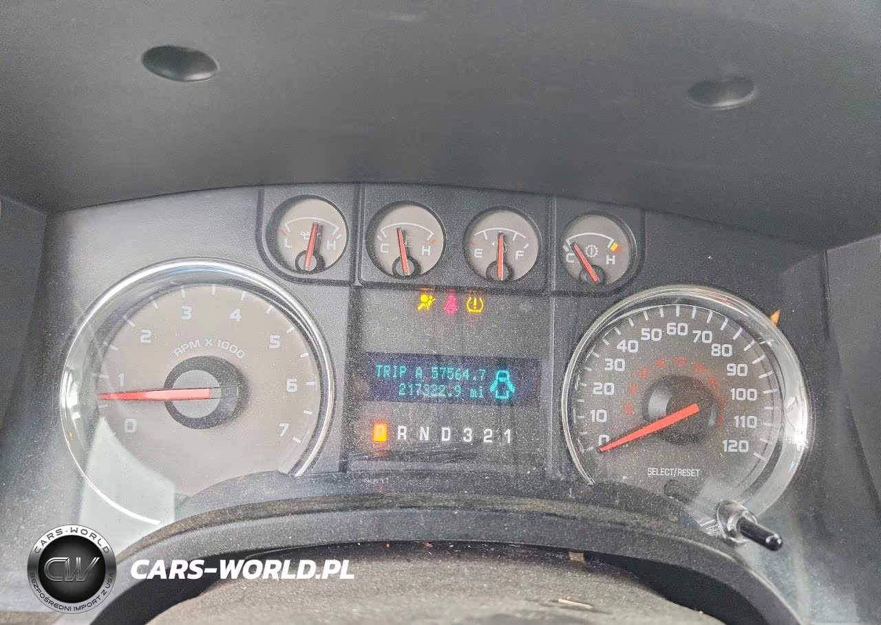 2010 Ford F150 Supercrew VIN:1FTEW1C89AFD17785 - 9