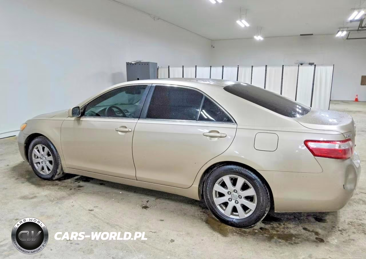 2009 Toyota Camry Xle VIN:4T4BE46K29R098305 - 2