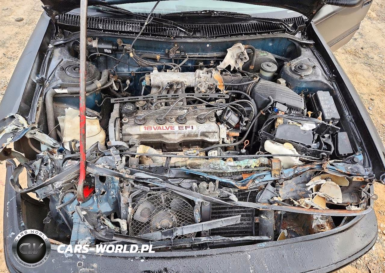 1992 Toyota Corolla Dx VIN:2T1AE94A8NC180144 - 11