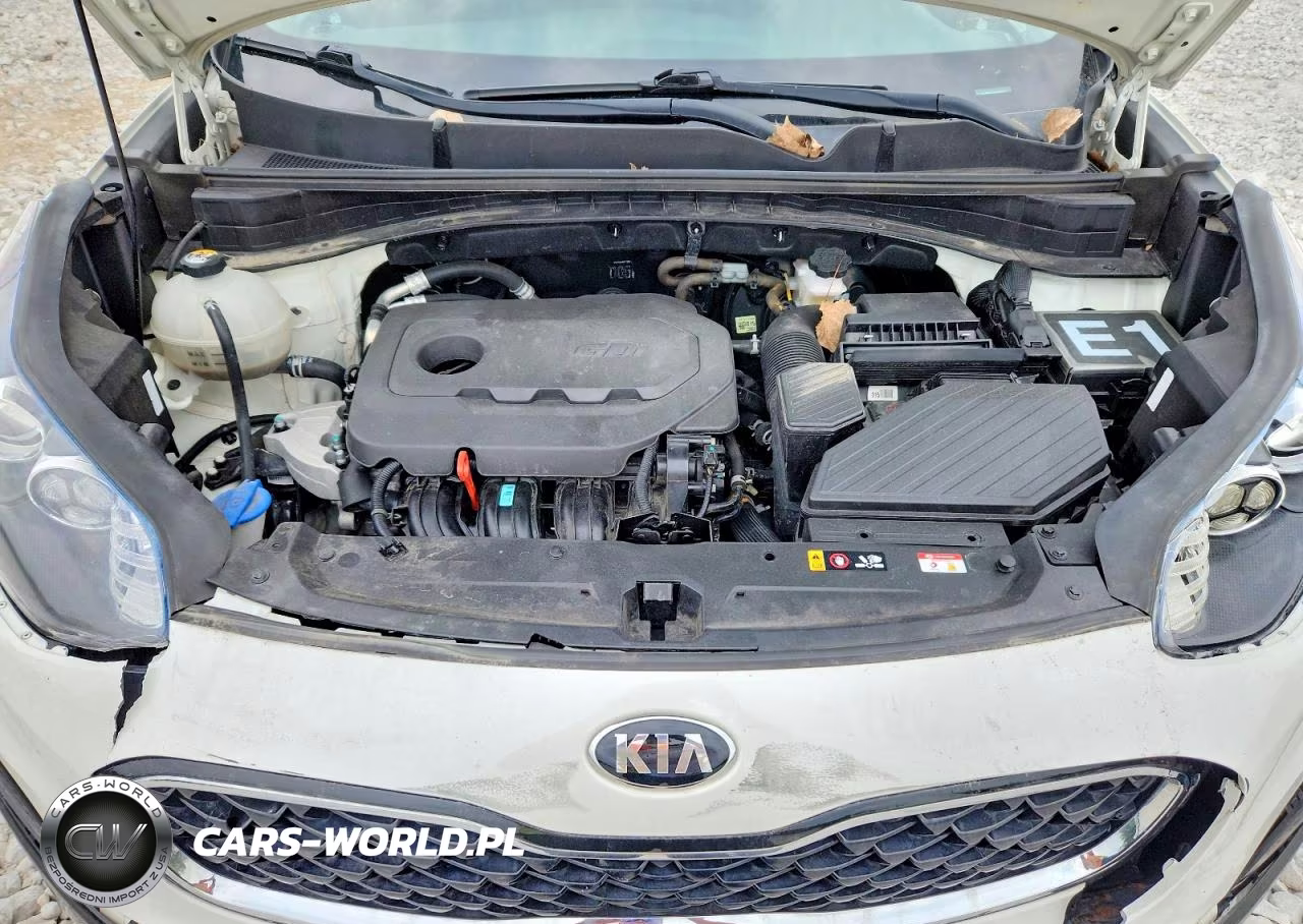 2022 Kia Sportage Lx VIN:KNDPM3AC2N7987275 - 12