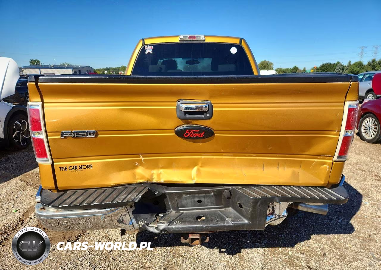 2009 Ford F150 Super Cab VIN:1FTRX14829KB30601 - 6