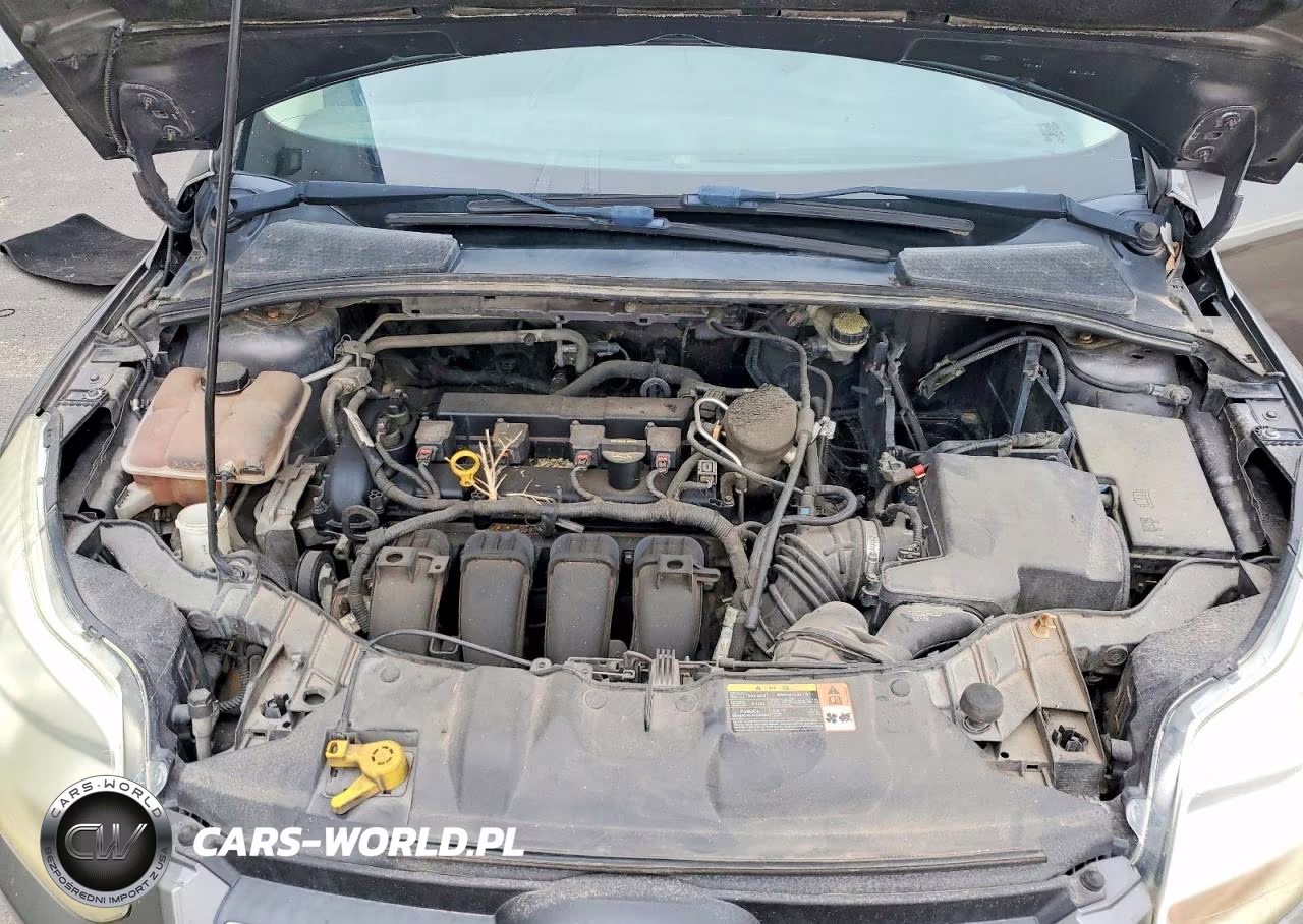 2013 Ford Focus Se VIN:1FADP3F26DL220504 - 11