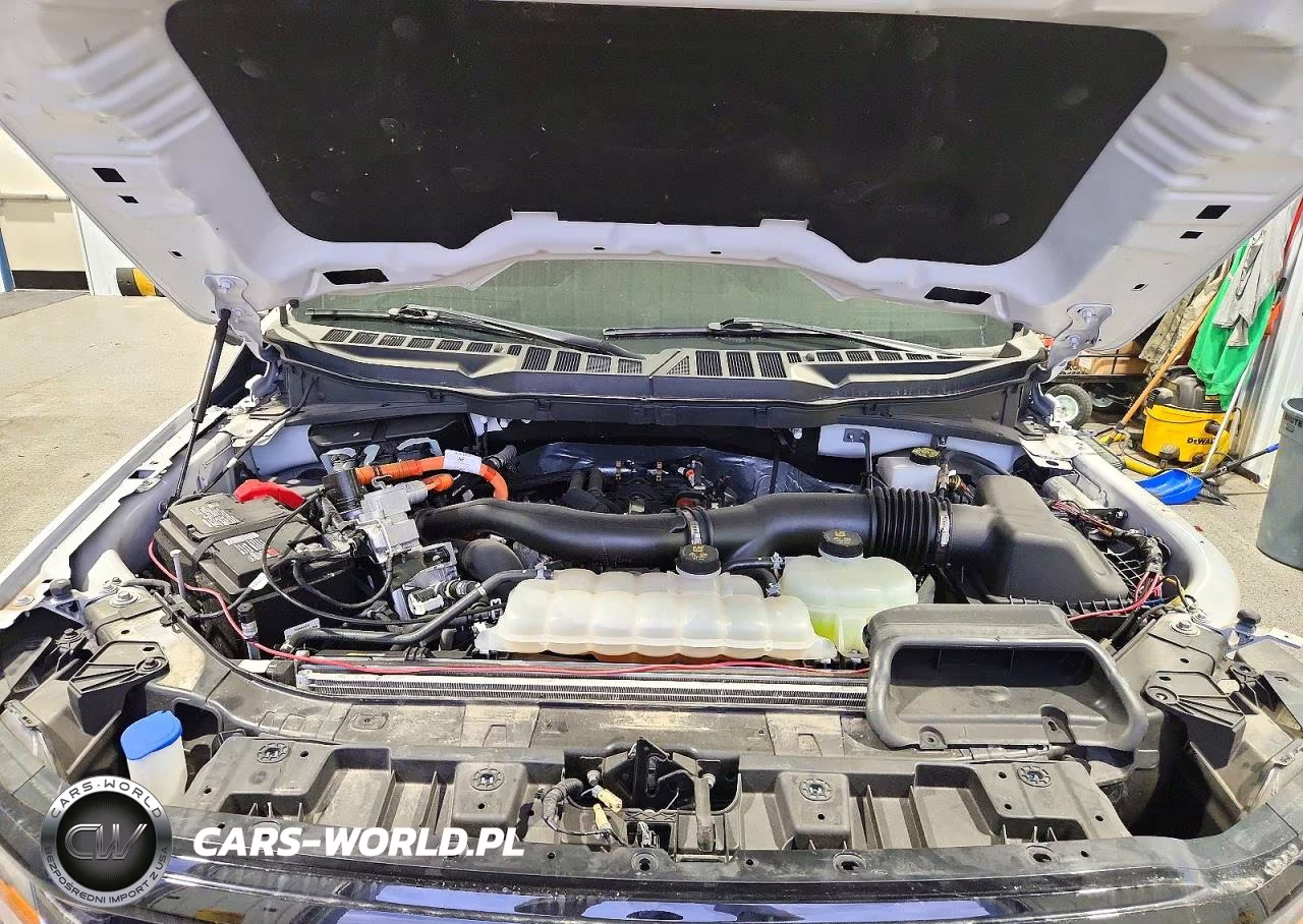 2024 Ford F150 Xlt VIN:1FTFW3LDXRFA66462 - 11