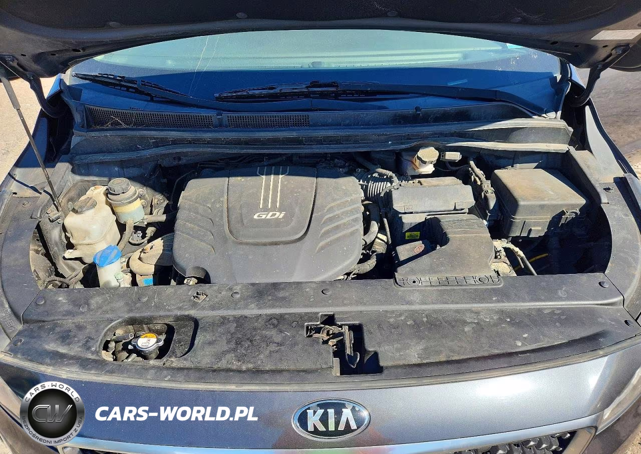 2016 Kia Sedona Lx VIN:KNDMB5C14G6146096 - 12