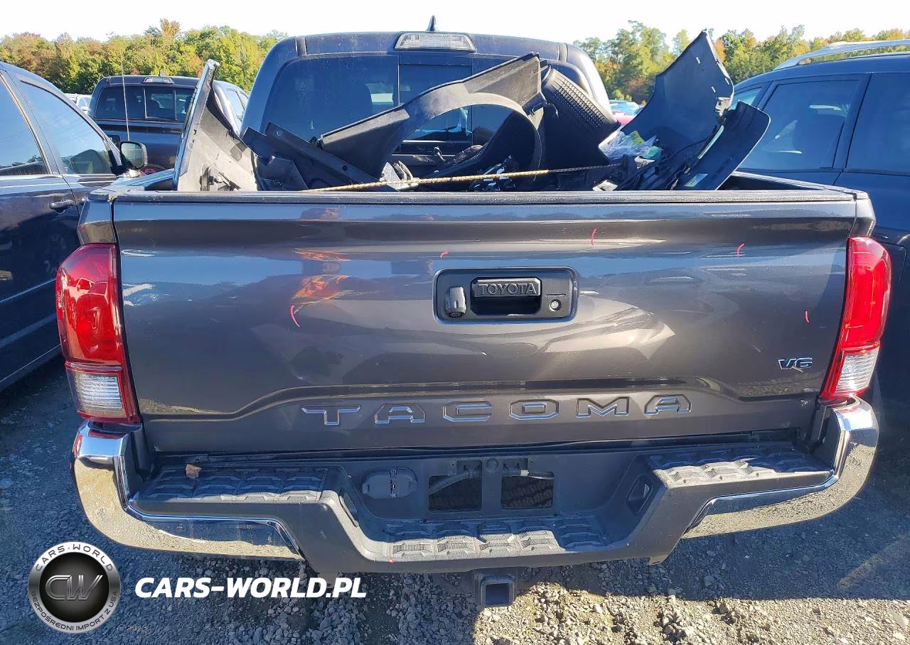 2019 Toyota Tacoma Trd Off-Road VIN:5TFCZ5ANXKX177952 - 6