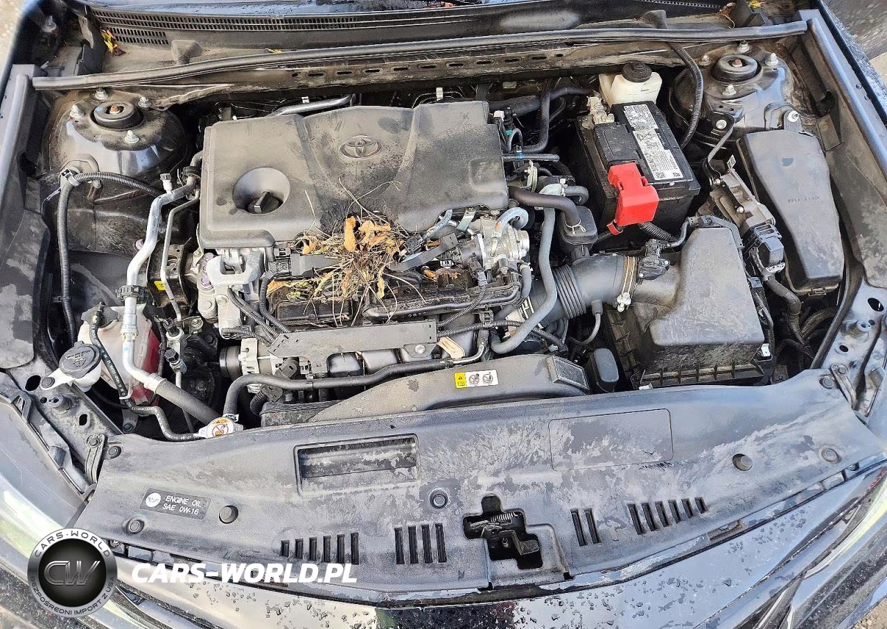 2022 Toyota Camry Xse VIN:4T1K61AK2NU026379 - 11
