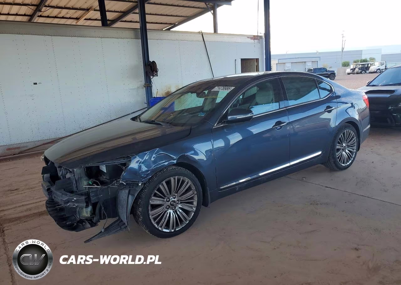 2014 Kia Cadenza Limited VIN:KNALN4D72E5141849 - 1