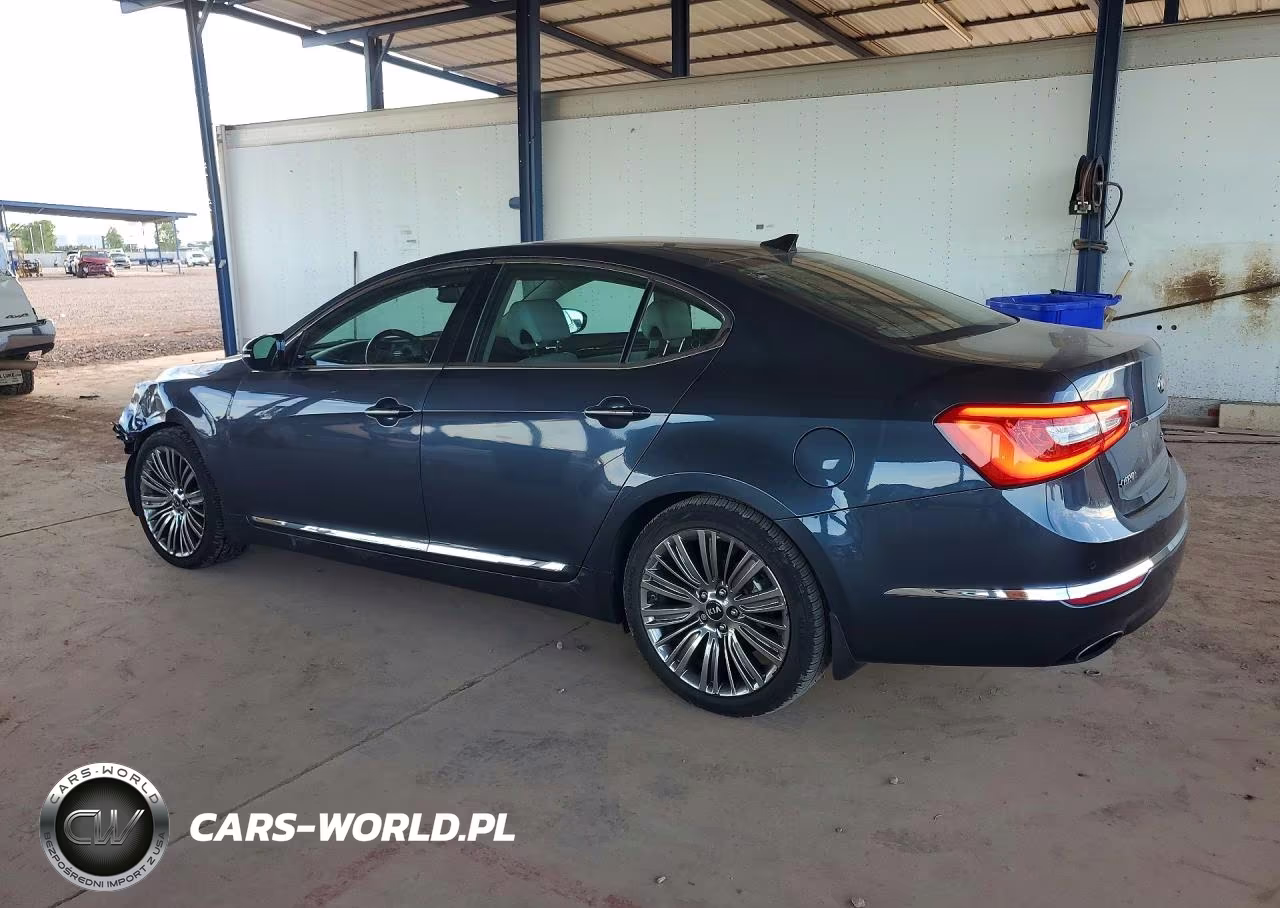 2014 Kia Cadenza Limited VIN:KNALN4D72E5141849 - 2