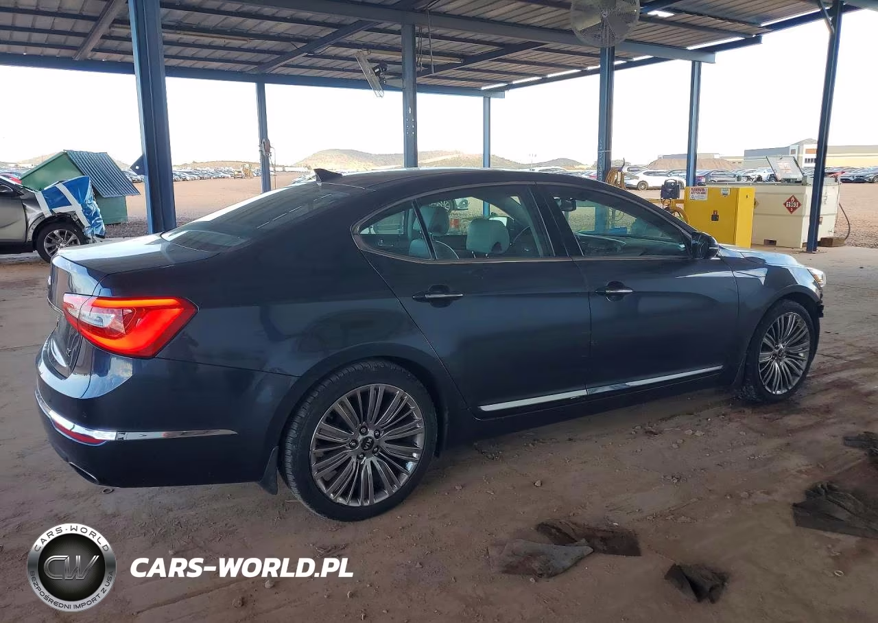 2014 Kia Cadenza Limited VIN:KNALN4D72E5141849 - 3