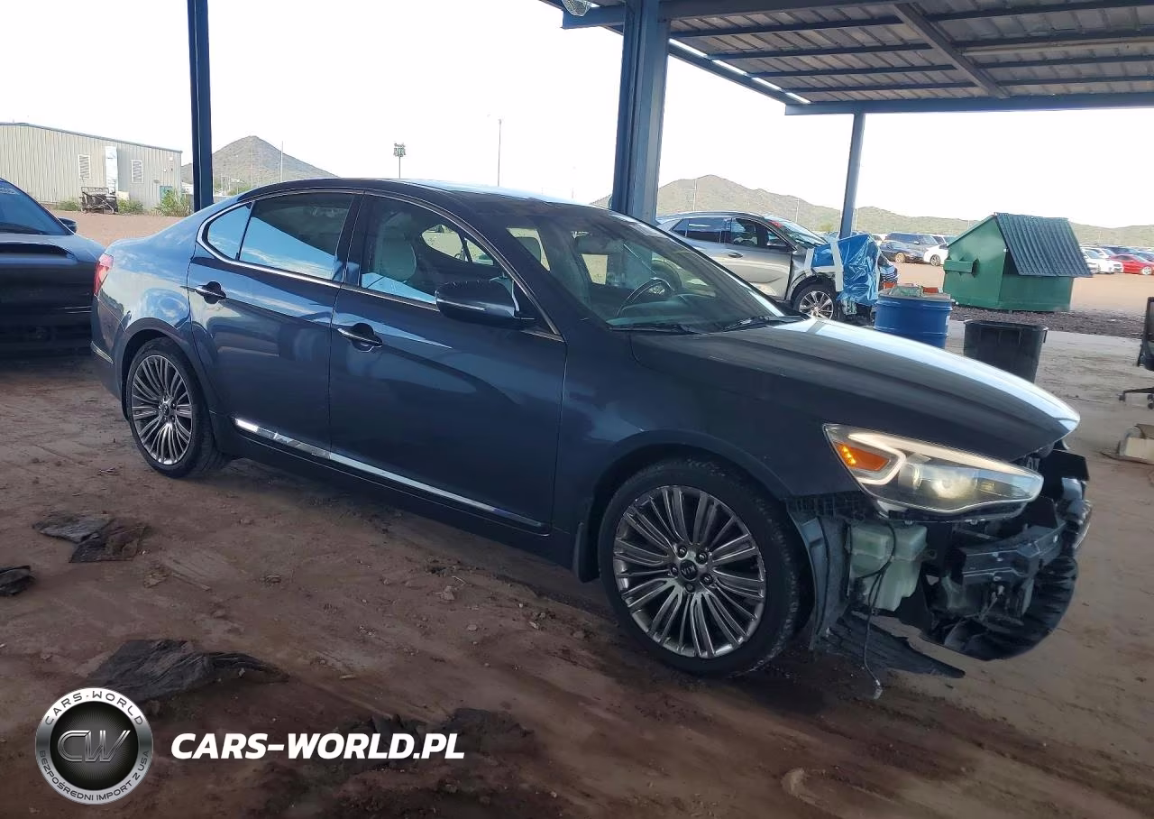 2014 Kia Cadenza Limited VIN:KNALN4D72E5141849 - 4
