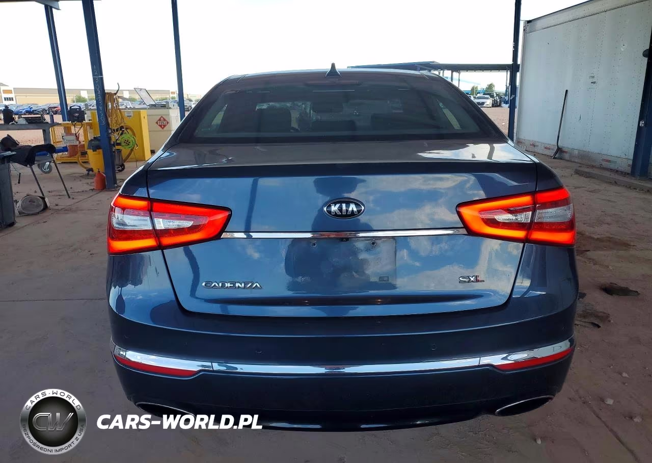 2014 Kia Cadenza Limited VIN:KNALN4D72E5141849 - 6