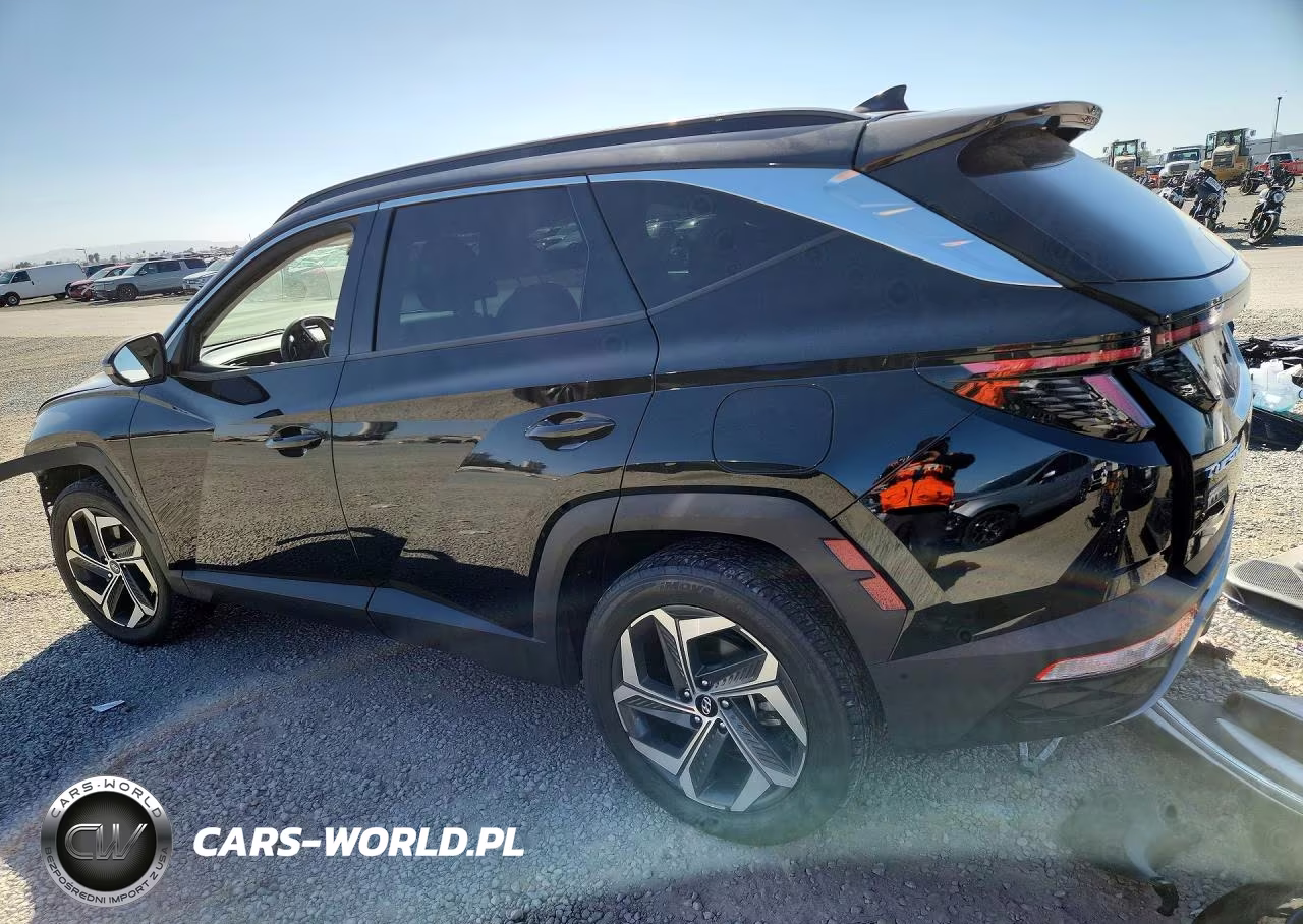 2022 Hyundai Tucson Limited VIN:5NMJECAEXNH042863 - 2
