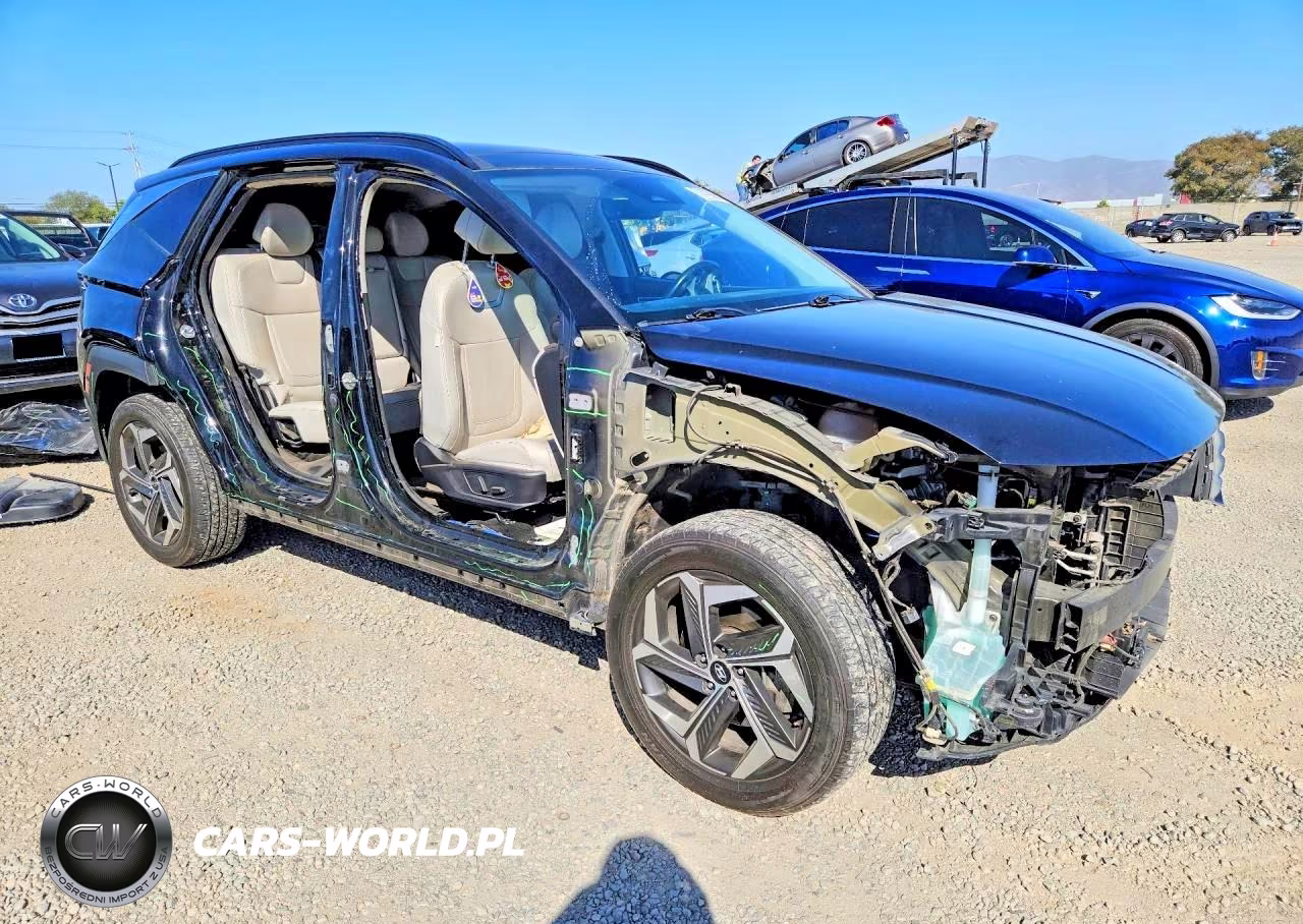2022 Hyundai Tucson Limited VIN:5NMJECAEXNH042863 - 4