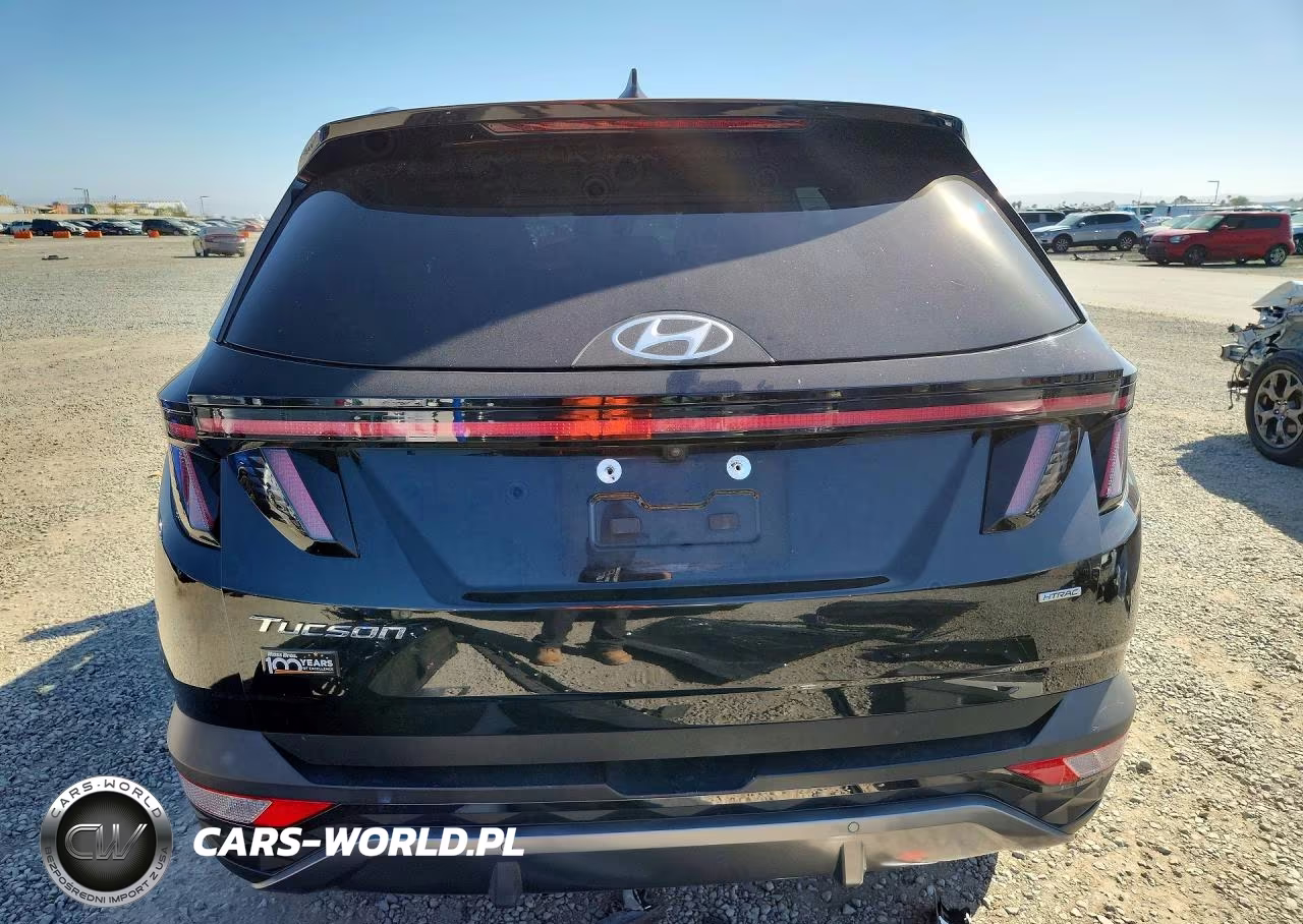 2022 Hyundai Tucson Limited VIN:5NMJECAEXNH042863 - 6