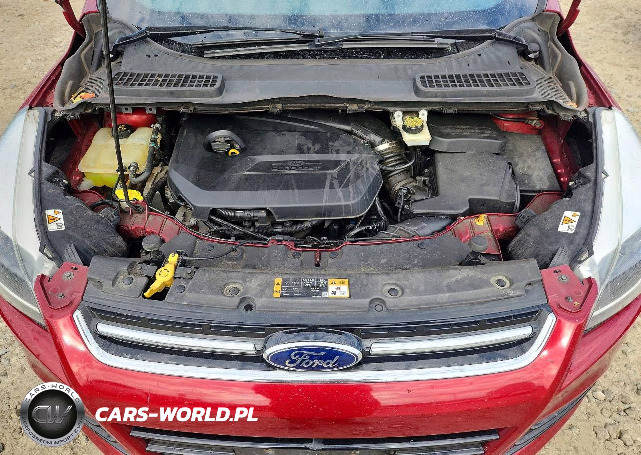 2014 Ford Escape Titanium VIN:1FMCU0JX7EUC98815 - 12