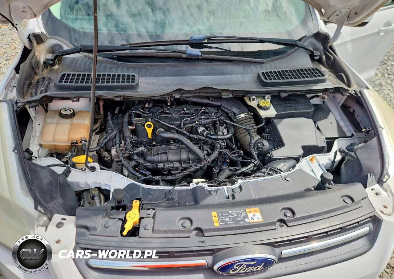 2014 Ford Escape Se VIN:1FMCU0GX5EUD22407 - 12