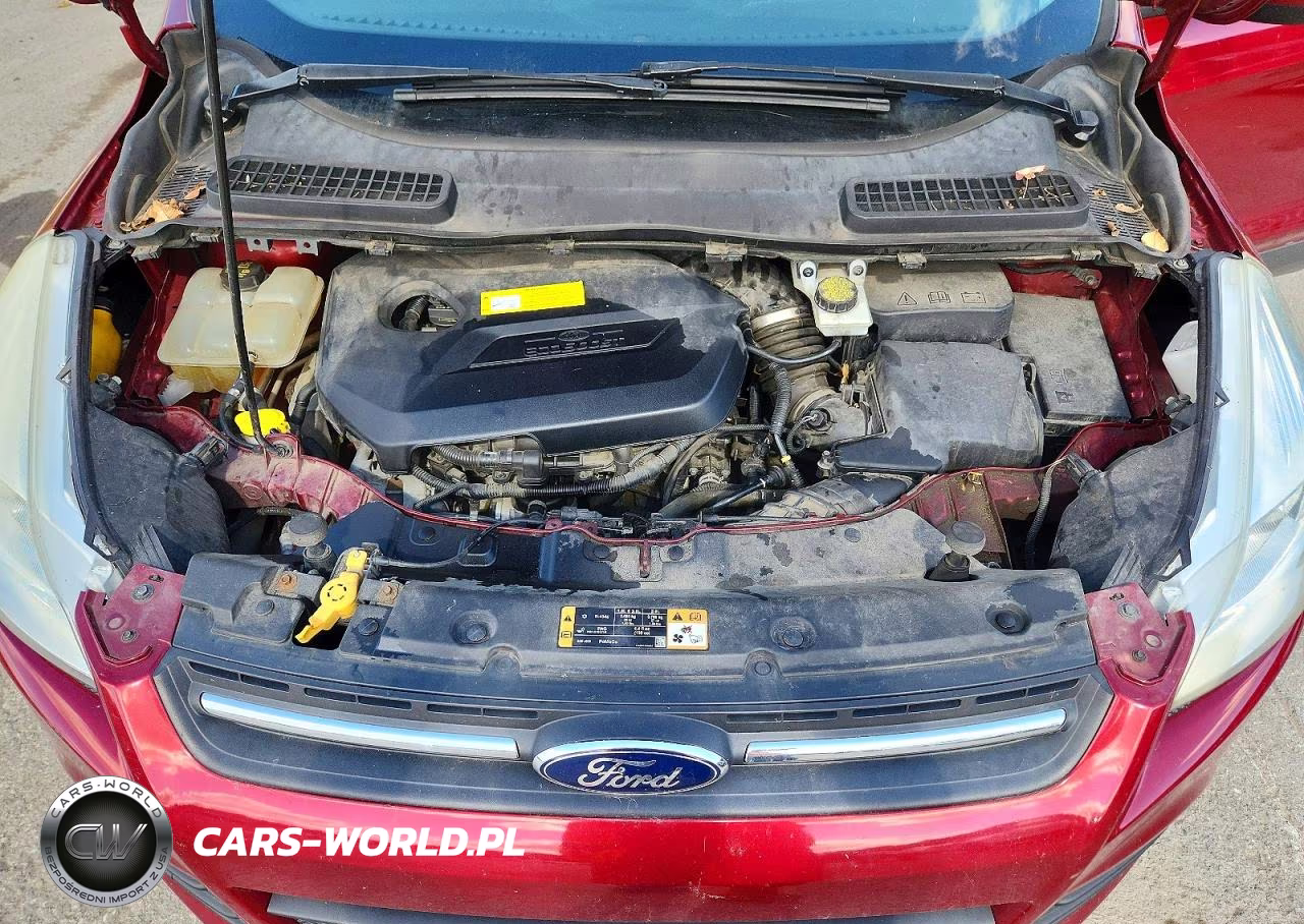 2016 Ford Escape Se VIN:1FMCU0GX2GUC40427 - 12