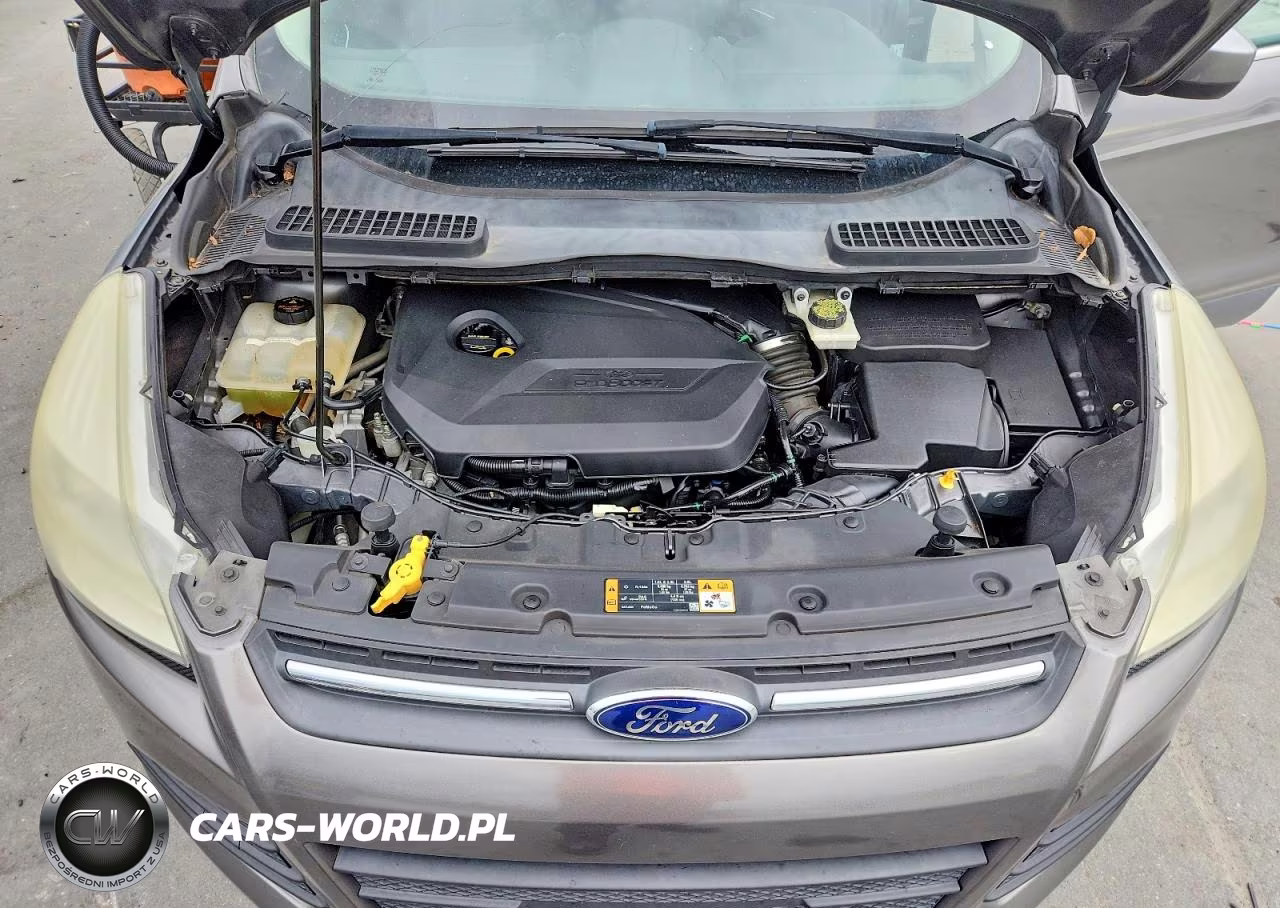 2014 Ford Escape Se VIN:1FMCU0GX1EUE21385 - 11