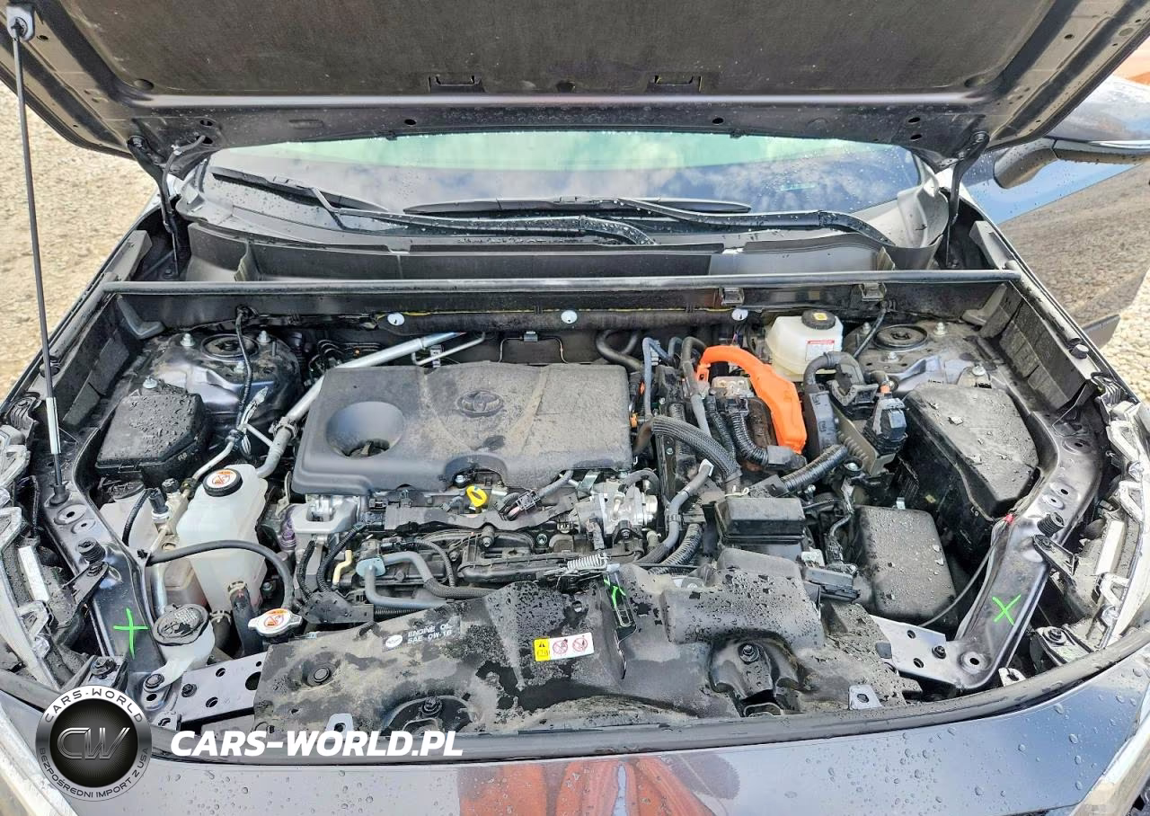 2025 Toyota Rav4 Hybrid Xle VIN:JTMRWRFV8SD310597 - 11