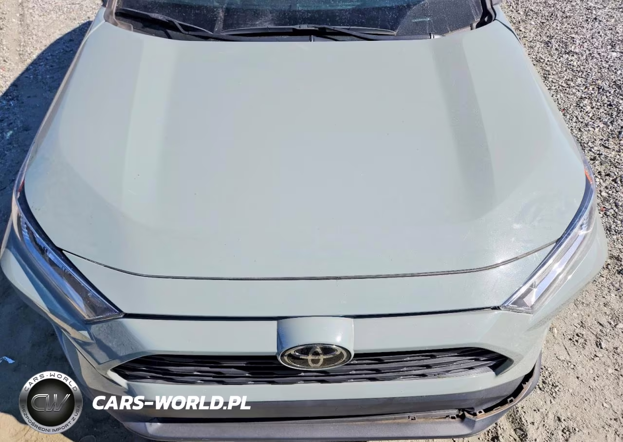 2021 Toyota Rav4 Xle VIN:2T3W1RFV4MW112123 - 11