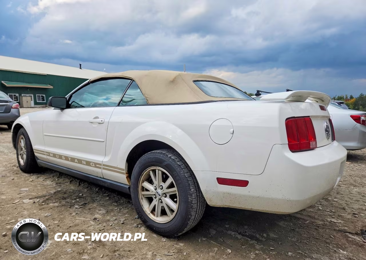 2006 Ford Mustang VIN:1ZVFT84NX65234807 - 2