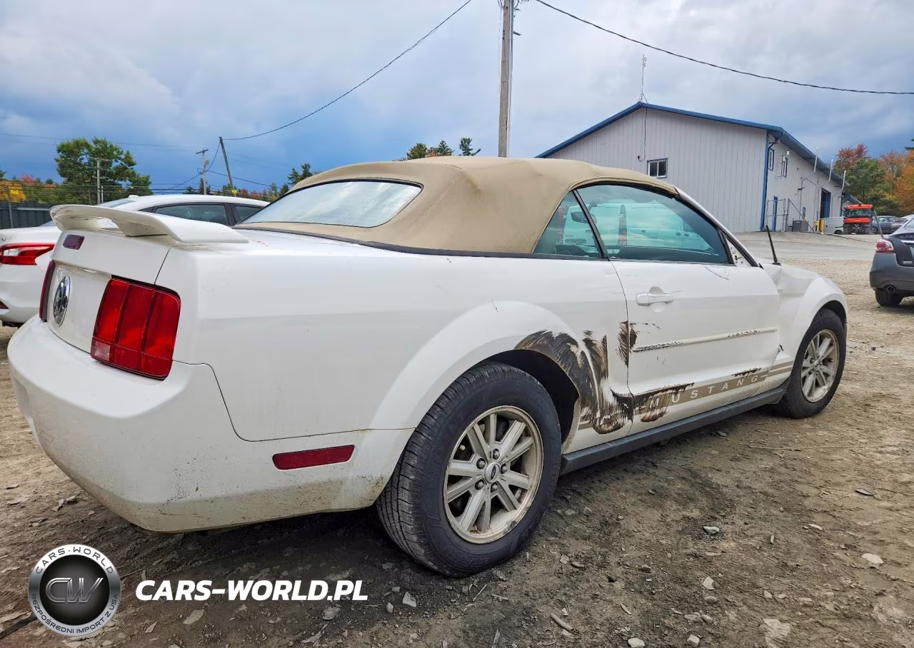 2006 Ford Mustang VIN:1ZVFT84NX65234807 - 3