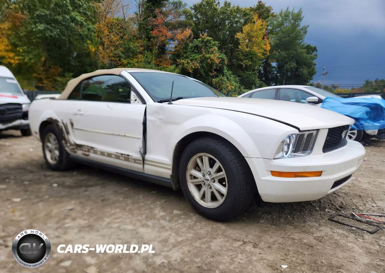 2006 Ford Mustang VIN:1ZVFT84NX65234807 - 4