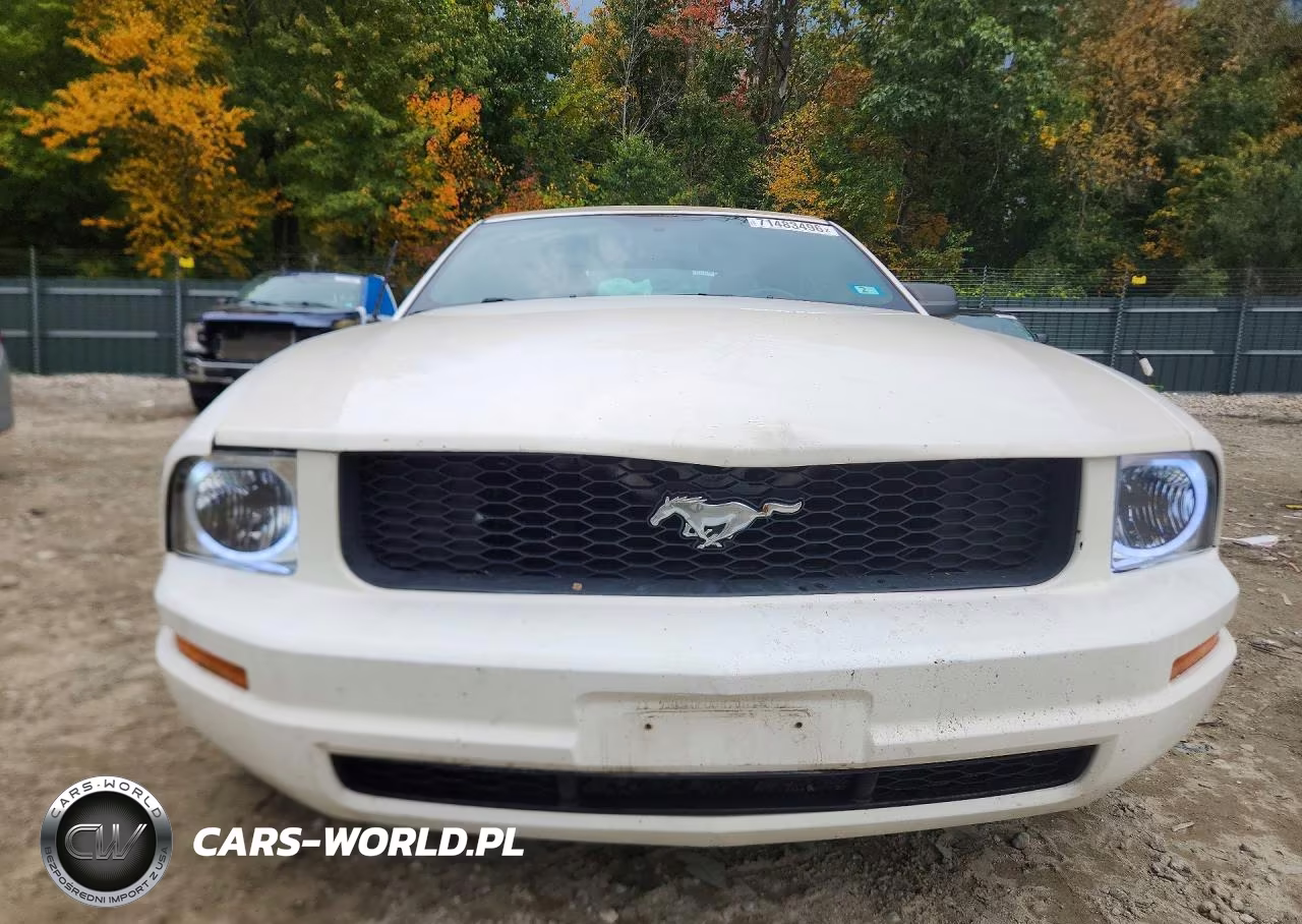 2006 Ford Mustang VIN:1ZVFT84NX65234807 - 5