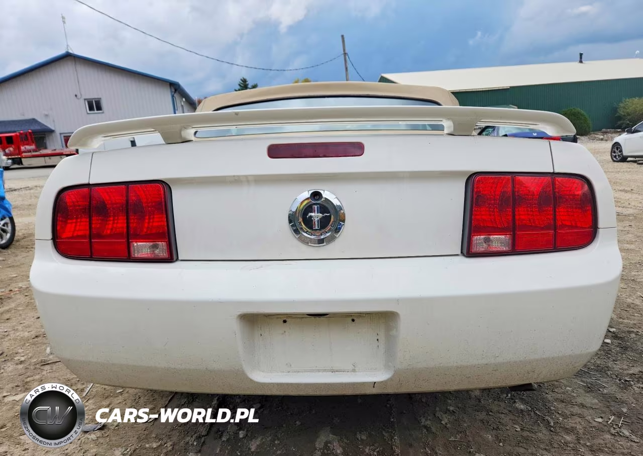 2006 Ford Mustang VIN:1ZVFT84NX65234807 - 6