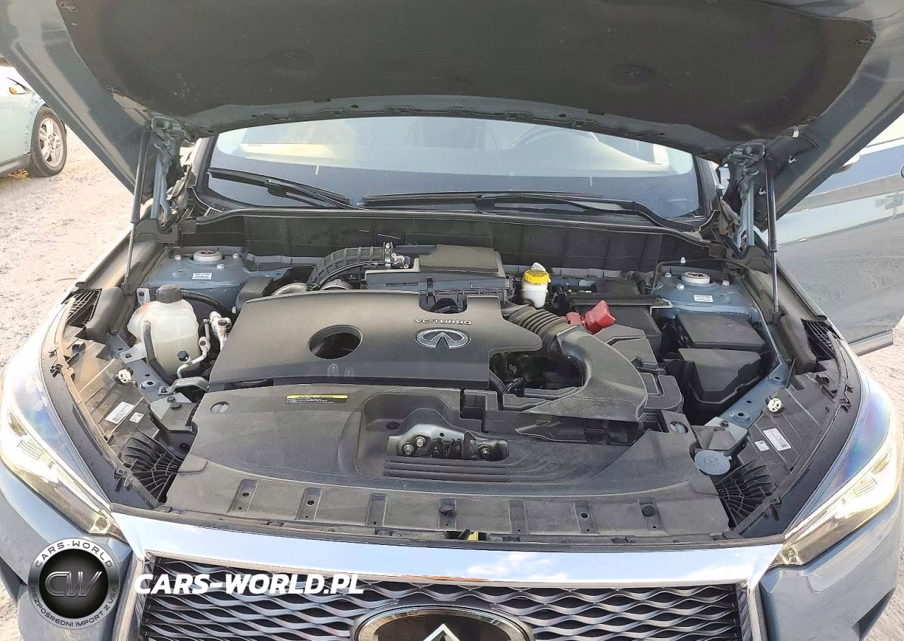 2023 Infiniti Qx50 Luxe VIN:3PCAJ5BA1PF120762 - 12