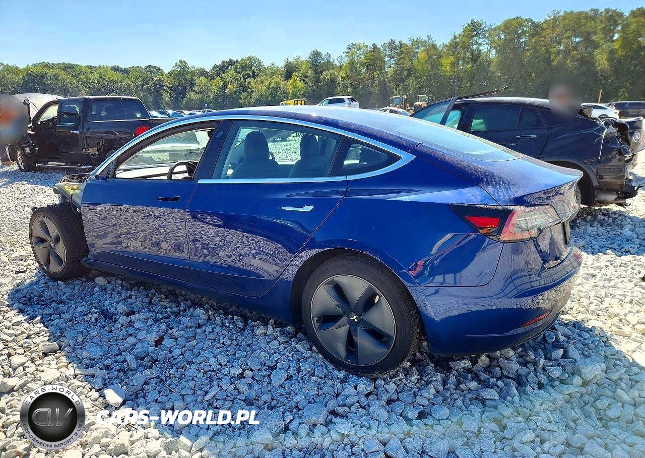 2020 Tesla Model 3 VIN:5YJ3E1EB5LF711195 - 2