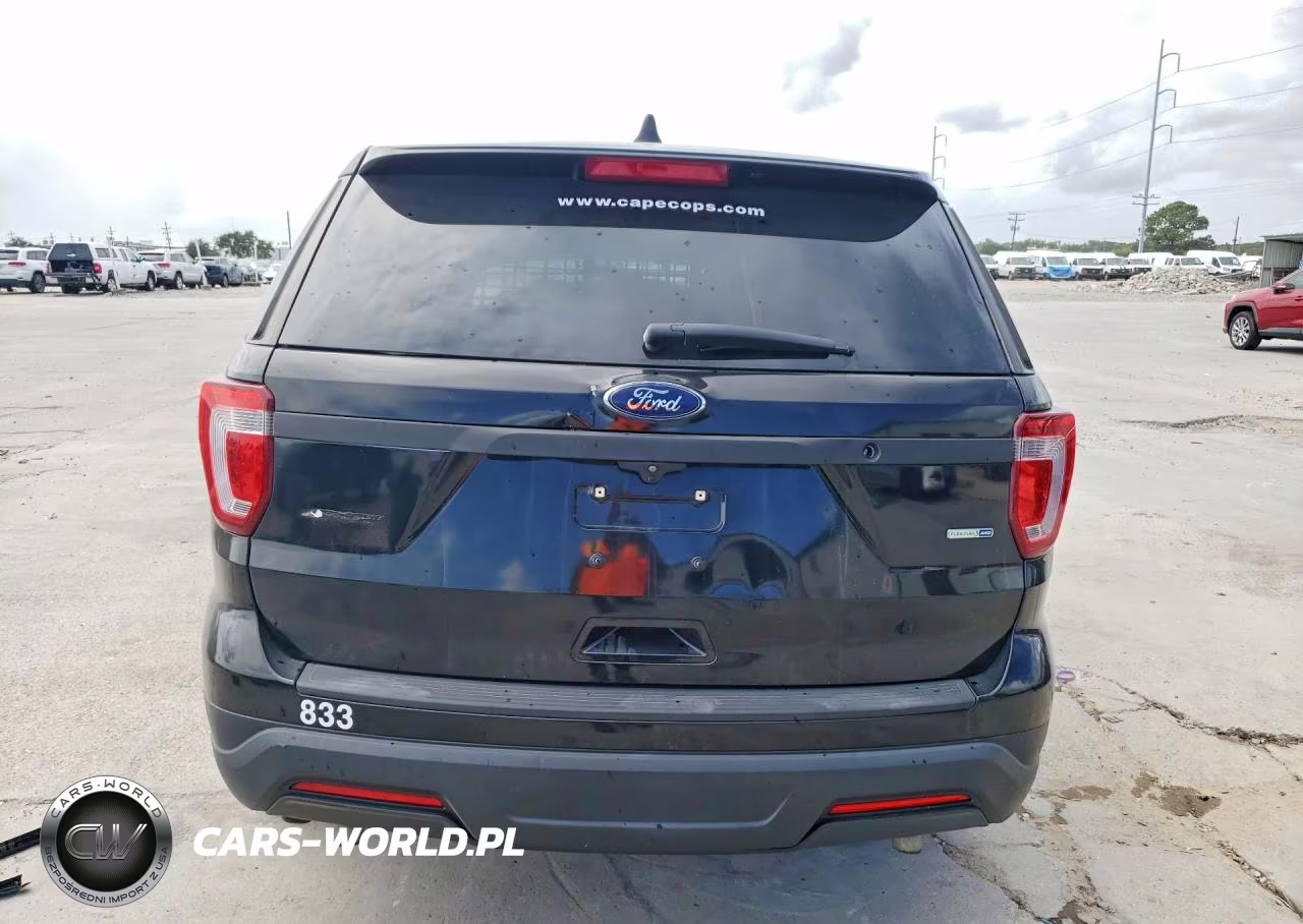 2018 Ford Explorer Police Interceptor VIN:1FM5K8AR3JGB47218 - 6