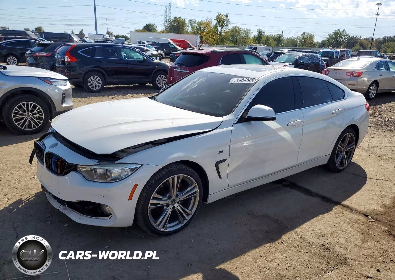 2017 BMW 430Xi Gran Coupe VIN:WBA4F9C5XHG791875 - 1