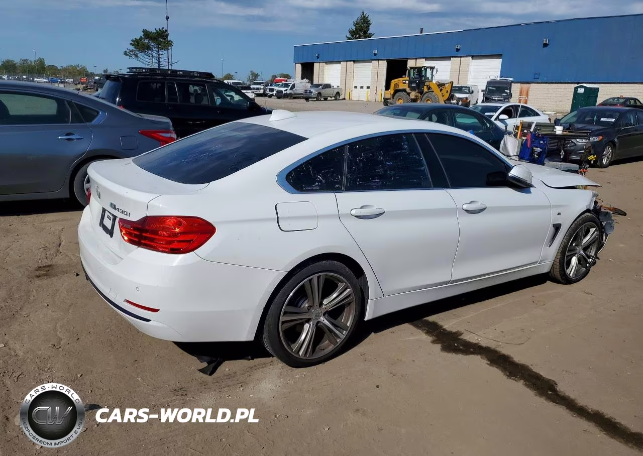 2017 BMW 430Xi Gran Coupe VIN:WBA4F9C5XHG791875 - 3