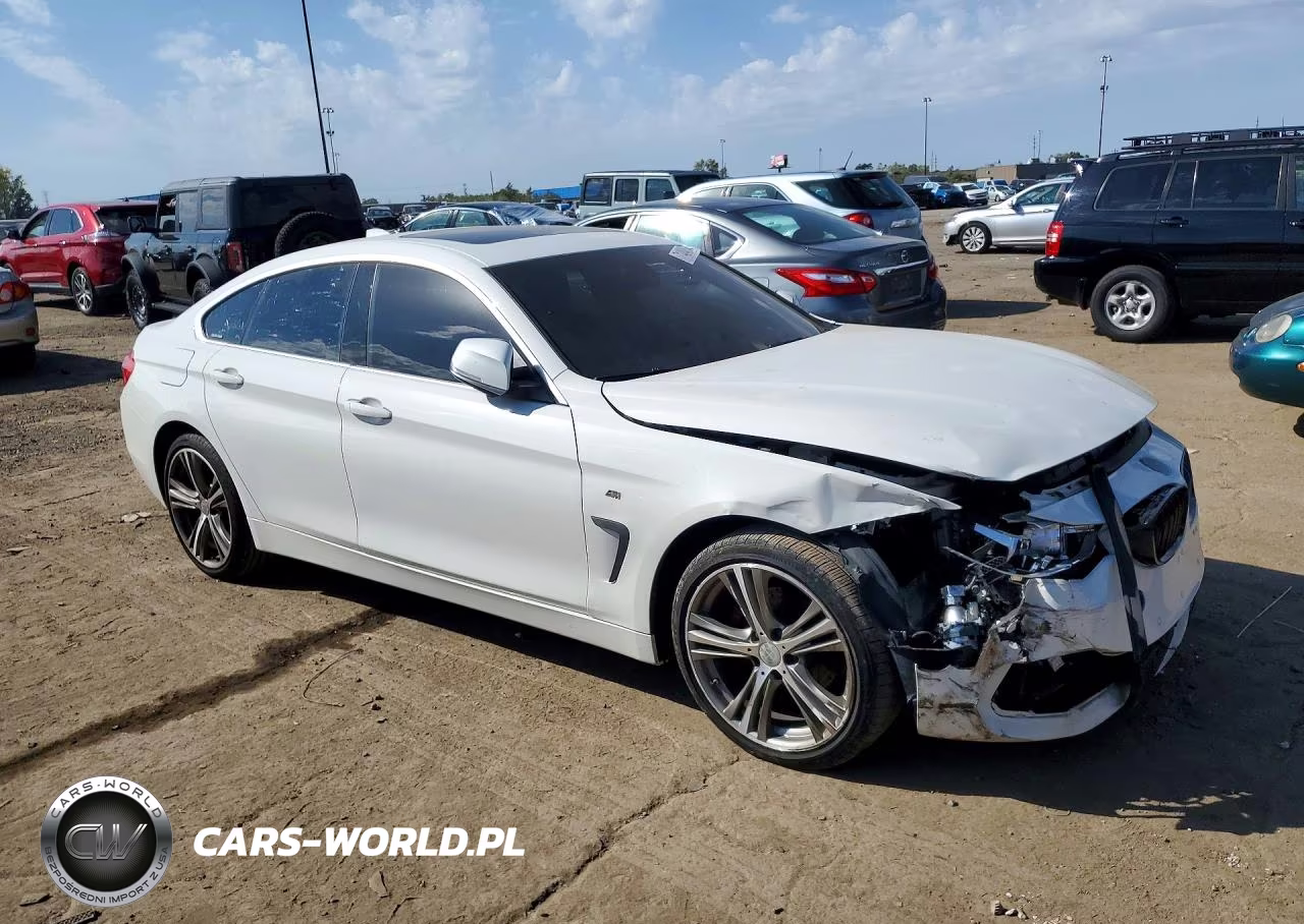 2017 BMW 430Xi Gran Coupe VIN:WBA4F9C5XHG791875 - 4