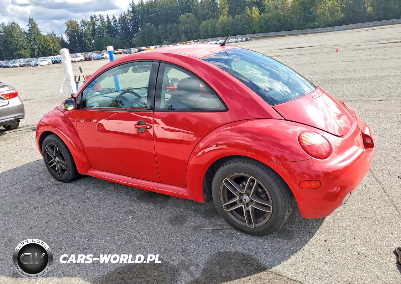 2004 Volkswagen New Beetle Gl VIN:3VWBK31C94M404685 - 2