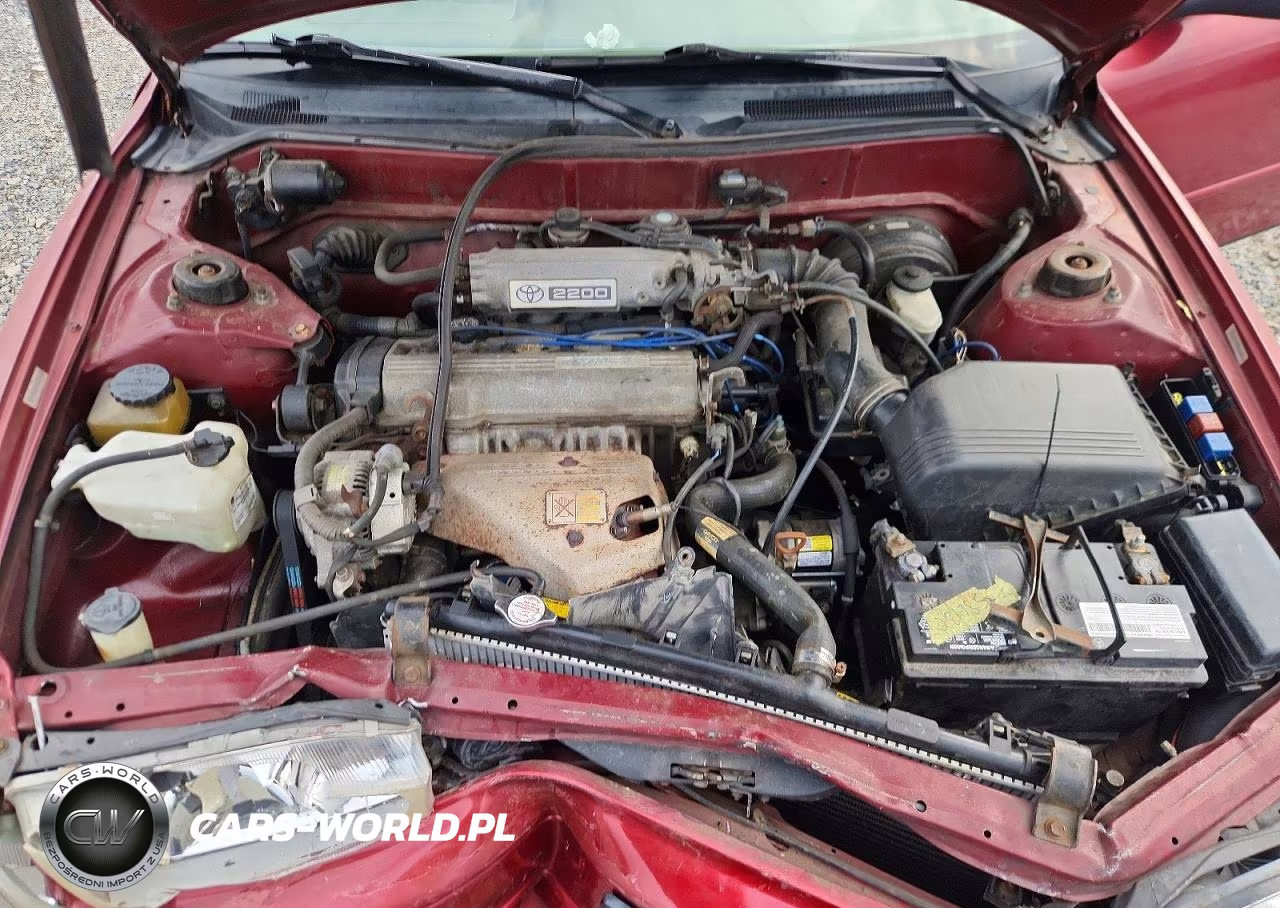 1994 Toyota Camry Dx VIN:JT2SK11E2R0196824 - 11
