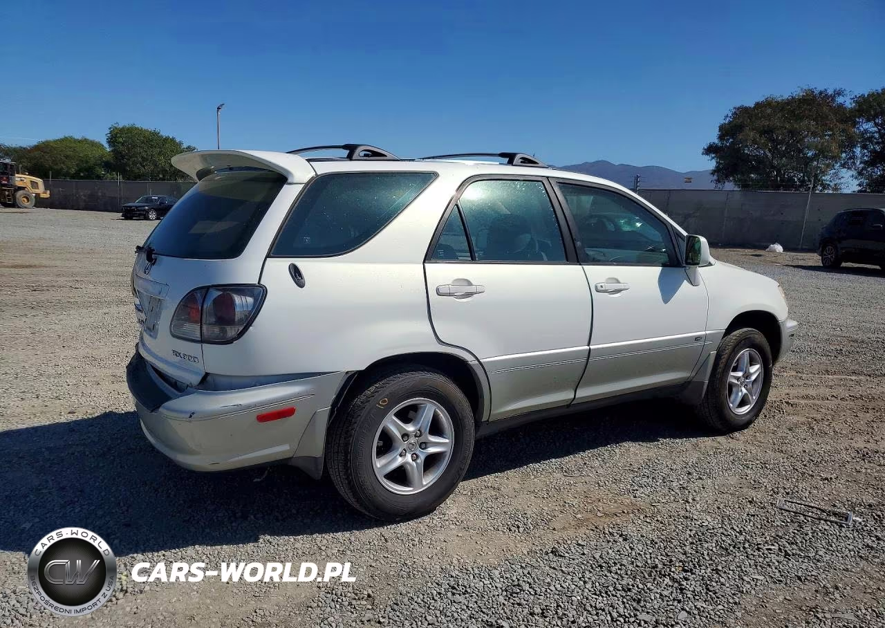 2001 Lexus Rx 300 VIN:JTJGF10UX10095199 - 3