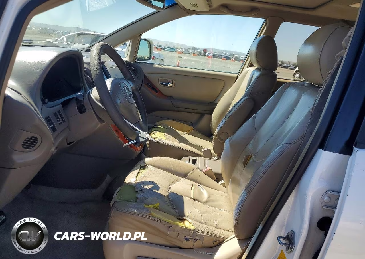 2001 Lexus Rx 300 VIN:JTJGF10UX10095199 - 7