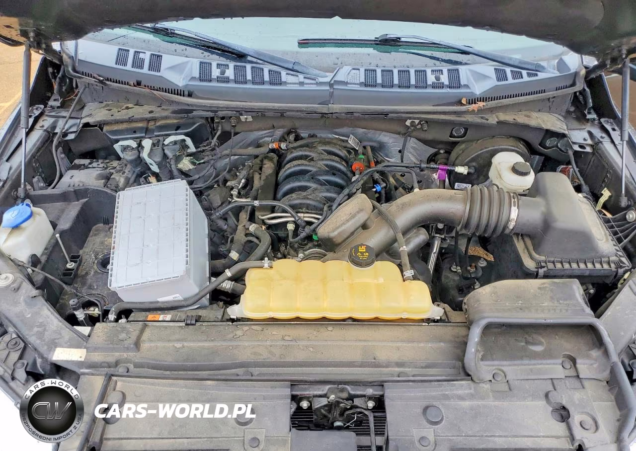 2020 Ford F150 Supercrew VIN:1FTEW1C54LKD65985 - 11