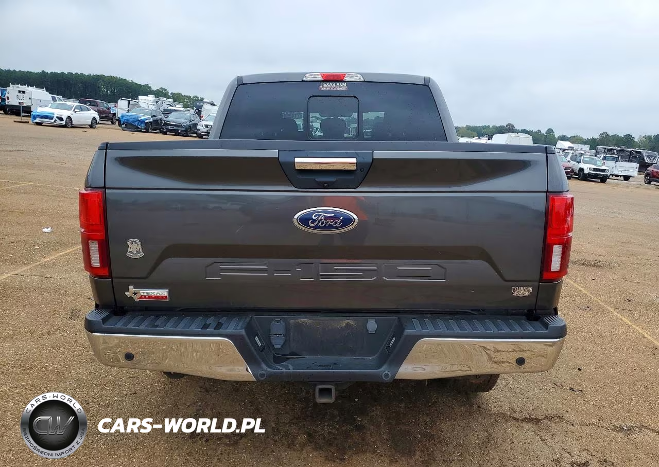 2020 Ford F150 Supercrew VIN:1FTEW1C54LKD65985 - 6