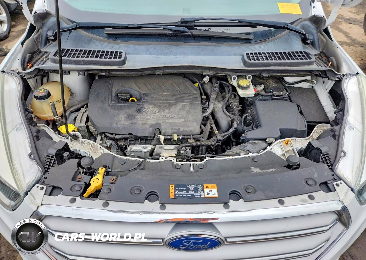 2017 Ford Escape Se VIN:1FMCU0GD2HUB51450 - 12