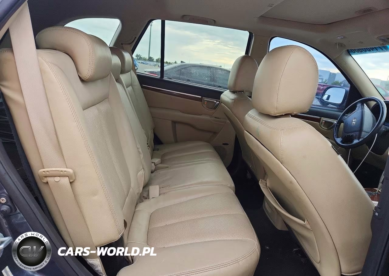 2009 Hyundai Santa Fe Limited VIN:5NMSH13E19H263559 - 10