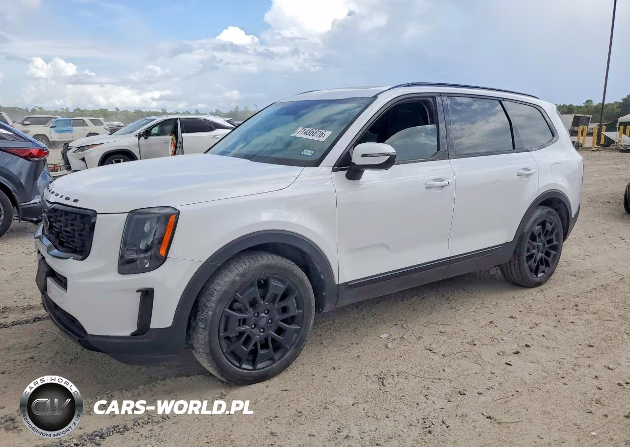 2021 Kia Telluride Ex VIN:5XYP3DHC6MG189684 - 1