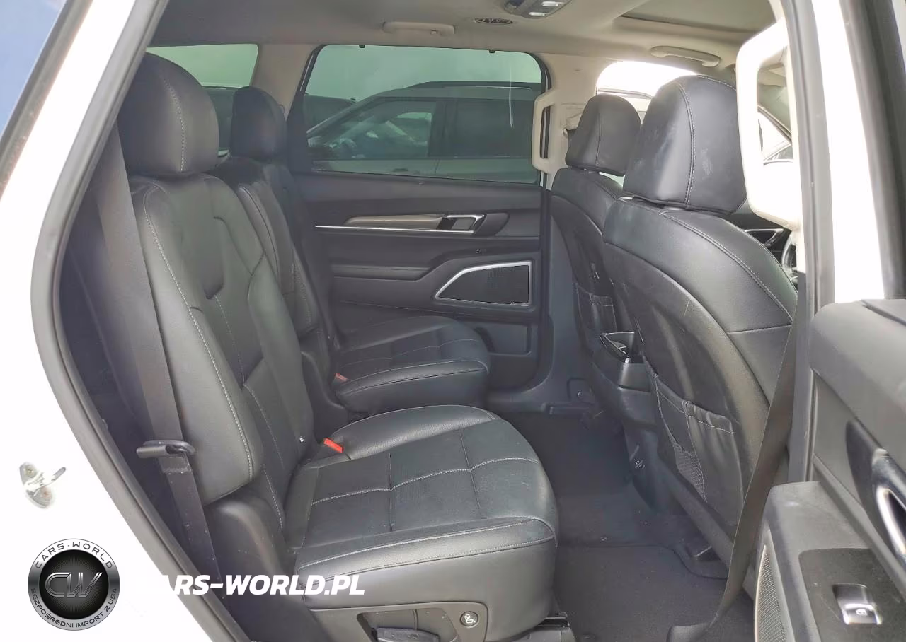 2021 Kia Telluride Ex VIN:5XYP3DHC6MG189684 - 11