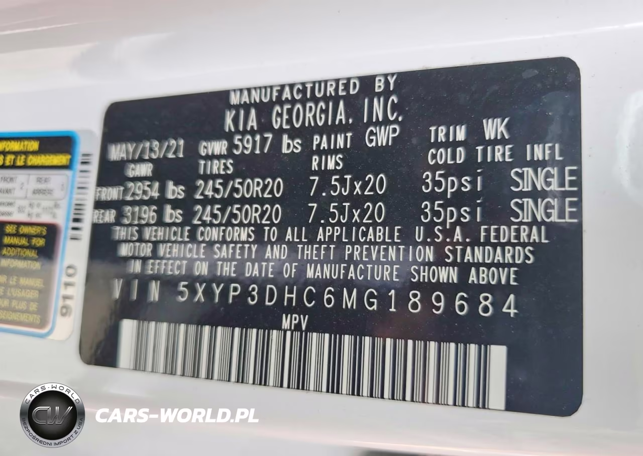2021 Kia Telluride Ex VIN:5XYP3DHC6MG189684 - 13