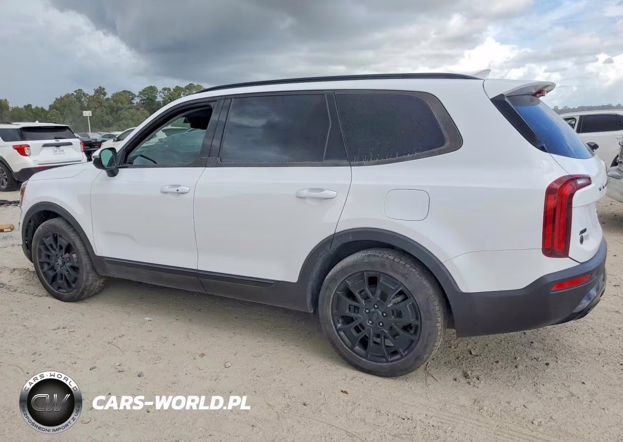 2021 Kia Telluride Ex VIN:5XYP3DHC6MG189684 - 2